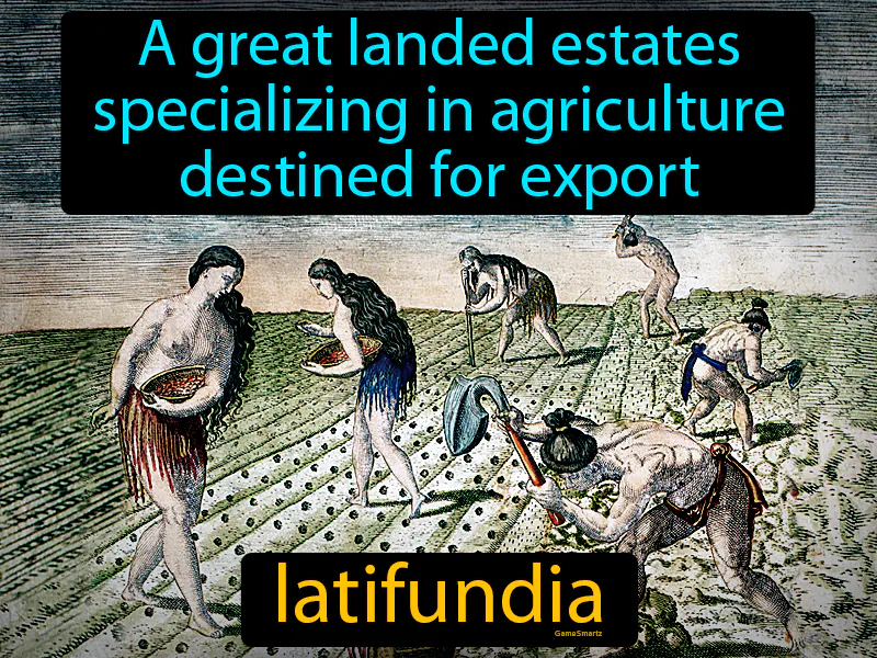Latifundia Definition | Radience