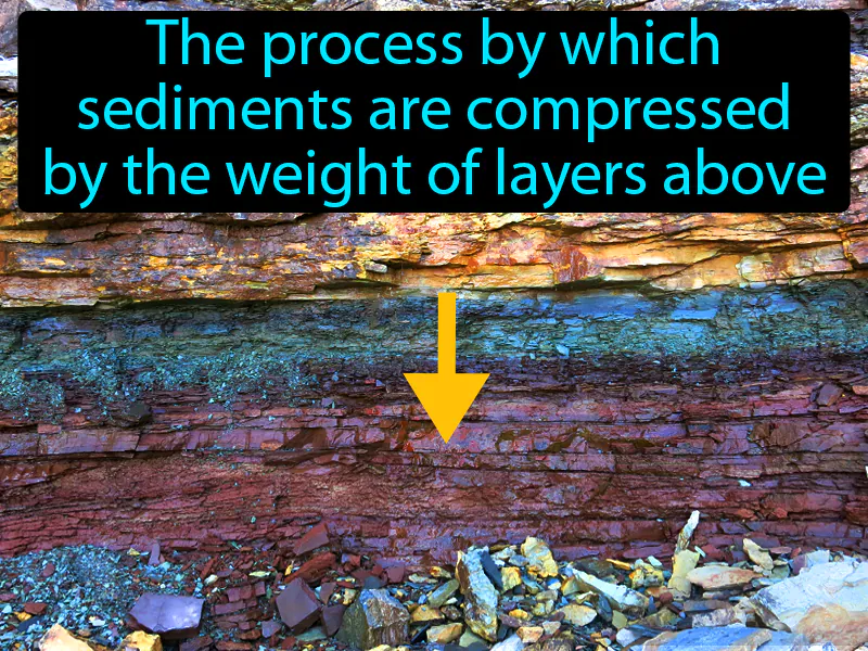 Compaction Definition | Radience