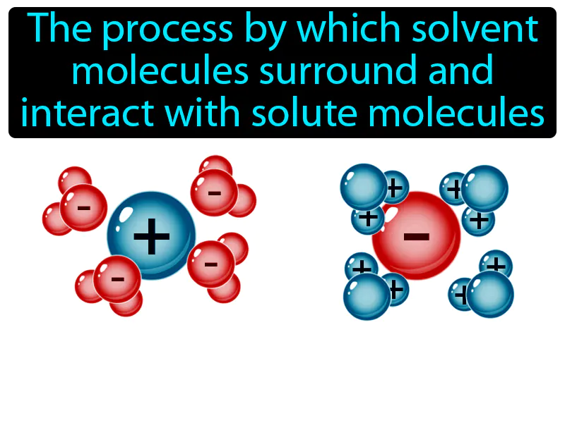 Solvation Definition | Radience