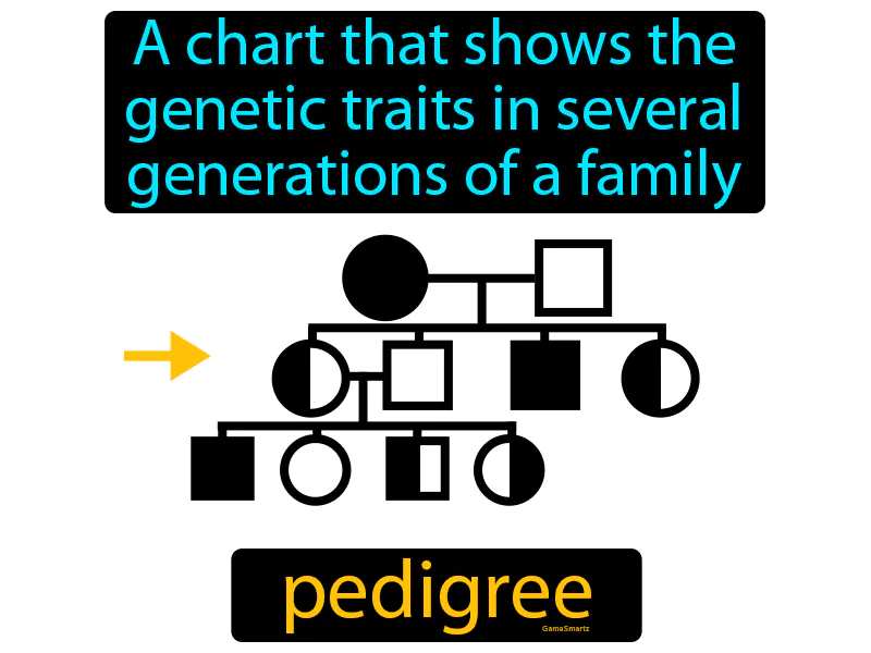 Pedigree Definition | Radience