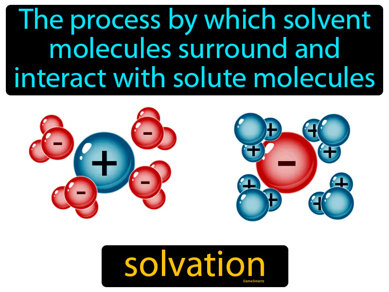 Solvation Definition | Radience
