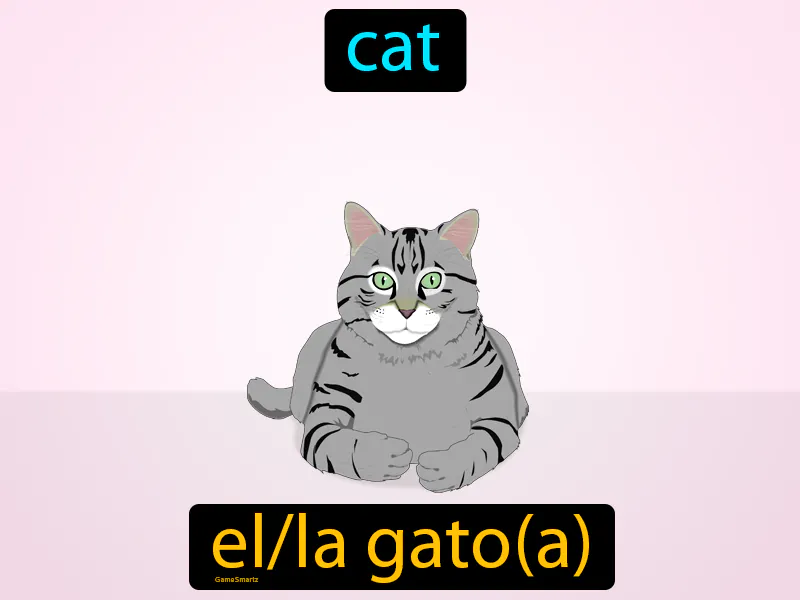 El Gato Definition | Radience